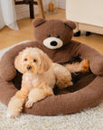 Cute Detachable Cuddle Bear Cat Bed