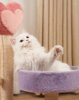 Cat climbing frame cat climber cat nest cat tree integrated cat teaser toy small cat supplies cat tower scratching pole four seasons joint Yan