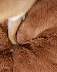 Classic Argyle Washable Bolster Donut Dog Bed - Cozy Haven