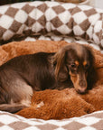 Classic Argyle Washable Bolster Donut Dog Bed - Cozy Haven