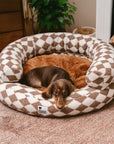 Classic Argyle Washable Bolster Donut Dog Bed - Cozy Haven