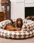 Classic Argyle Washable Bolster Donut Dog Bed - Cozy Haven