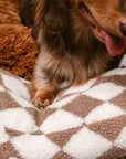 Classic Argyle Washable Bolster Donut Dog Bed - Cozy Haven