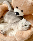 Cute Detachable Cuddle Bear Cat Bed
