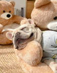 Cute Detachable Cuddle Bear Cat Bed