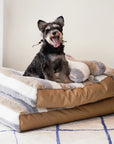 Deluxe Striped Plush Calming Bed Dog Bed with Pillow