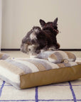 Deluxe Striped Plush Calming Bed Dog Bed with Pillow