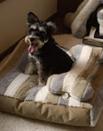 Deluxe Striped Plush Calming Bed Dog Bed with Pillow