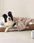 Deluxe Striped Plush Calming Bed Dog Bed with Pillow