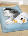 Faux Leather Anti-scratch and Waterproof Cozy Dog Sofa Bed