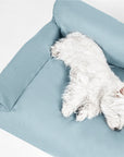 Faux Leather Anti-scratch and Waterproof Cozy Dog Sofa Bed