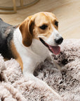 Large Round Dog Bed - Fuzzy Paw
