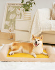 Full Support Comfortable Orthopedic Dog Bed