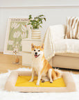 Full Support Comfortable Orthopedic Dog Bed