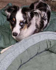 Leaf Shape Dog Blanket With Donut Dog Bed Luxury Dog Gifts