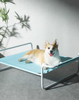 Moisture-Proof Oxford Cloth Elevated Dog Bed