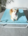 Moisture-Proof Oxford Cloth Elevated Dog Bed