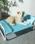 Moisture-Proof Oxford Cloth Elevated Dog Bed