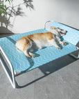 Moisture-Proof Oxford Cloth Elevated Dog Bed