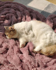Luxury Super Large Human Dog Bed With Super Soft Pet Throw Blanket