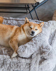 Warming Fluffy Bone Cloud Shape Calming Dog Bed