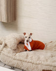 Warming Fluffy Bone Cloud Shape Calming Dog Bed