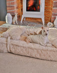 Warming Fluffy Bone Cloud Shape Calming Dog Bed