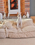 Warming Fluffy Bone Cloud Shape Calming Dog Bed