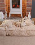 Warming Fluffy Bone Cloud Shape Calming Dog Bed