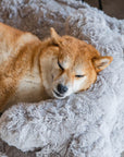 Warming Fluffy Bone Cloud Shape Calming Dog Bed