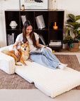 Plush Fluffy Large Orthopedic Human-Dog Bolster Bed