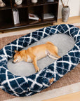 Plush Fluffy Large Orthopedic Human-Dog Bolster Bed
