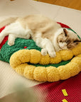 Teddy Velvet Plush Christmas Festive Funny Pet Bed