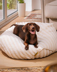 Trendy Striped Pattern Polygonal Calming Bean Bag Dog Bed