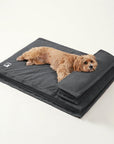 Anti-Anxiety with Sponge Support Deep Sleeping Dog Bed