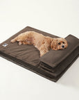 Anti-Anxiety with Sponge Support Deep Sleeping Dog Bed