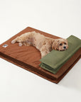 Anti-Anxiety with Sponge Support Deep Sleeping Dog Bed
