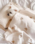Cozy Embroidered Cotton Pet Pillow Quilt Bed Set