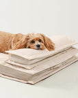 Anti-Anxiety with Sponge Support Deep Sleeping Dog Bed