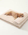 Anti-Anxiety with Sponge Support Deep Sleeping Dog Bed