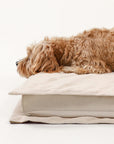 Anti-Anxiety with Sponge Support Deep Sleeping Dog Bed