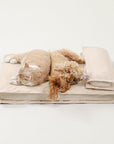 Anti-Anxiety with Sponge Support Deep Sleeping Dog Bed