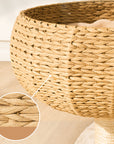 Sleeping in the Bowl Cat Tree