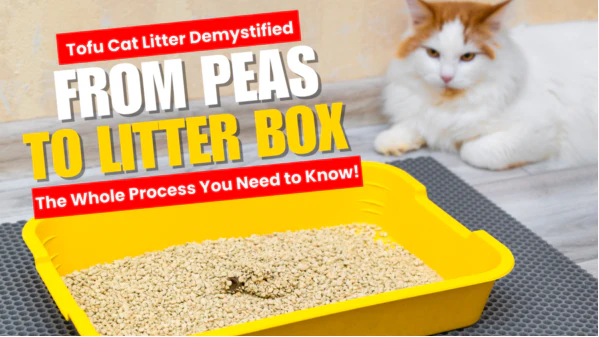 Tofu Cat Litter Demystified: From Peas to Litter Box—The Whole Process You Need to Know!