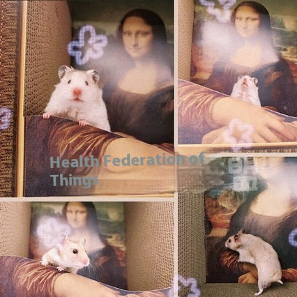 Mona Lisa Cat Nest Cat Scratch Board Wear-resistant Scratch-resistant Oil Painting World Famous Painting Cat House Factory Clearance