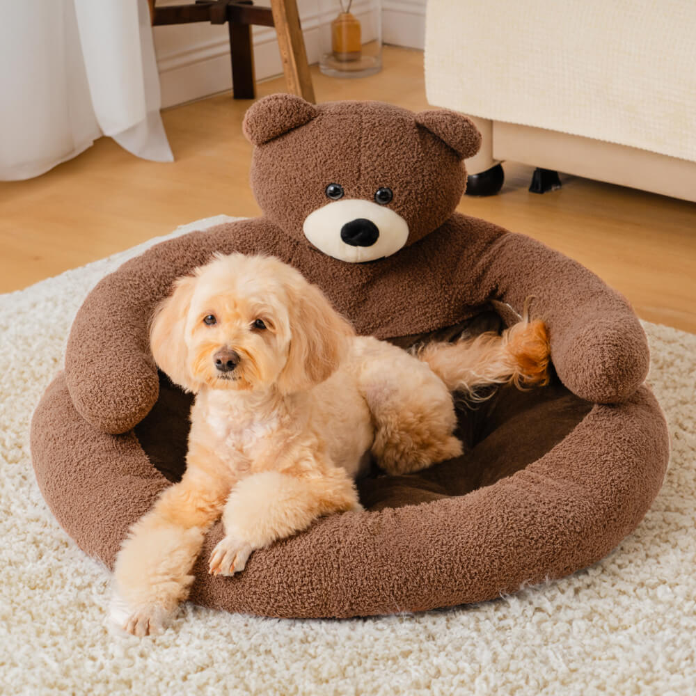 Cute Detachable Cuddle Bear Cat Bed - Pawhearth
