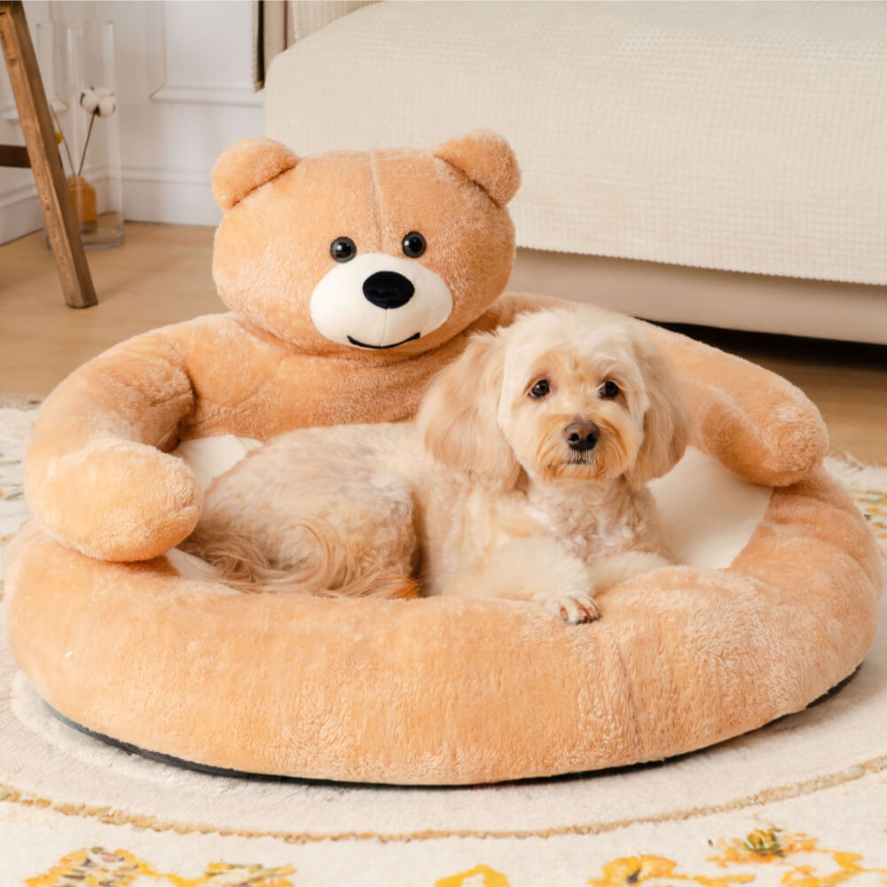 Cute Detachable Cuddle Bear Cat Bed - Pawhearth