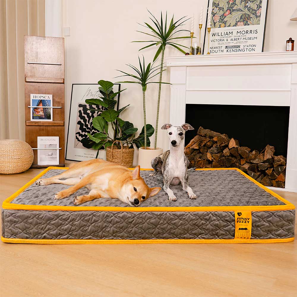Hooman Innerspring Coils Orthopedic Human Dog Bed - Everdream - Pawhearth