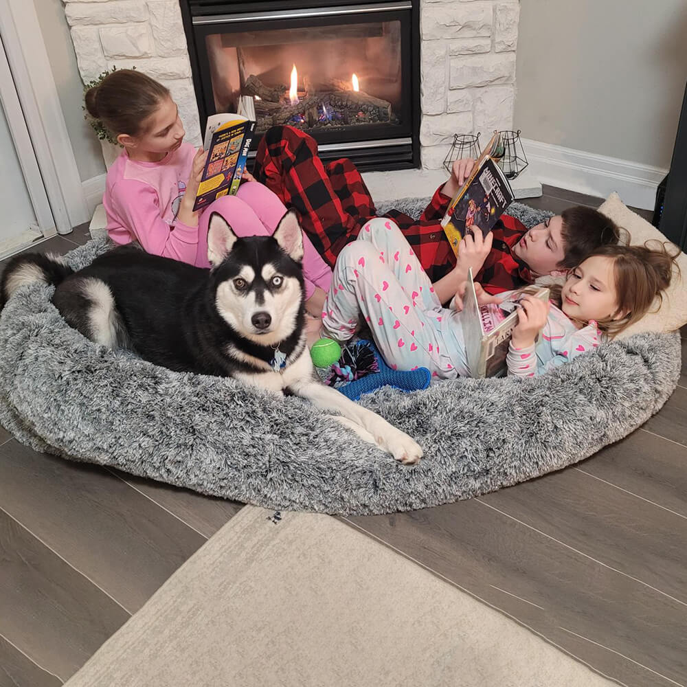 Luxury Super Large Sleep Deeper Oval Bed Human Dog Bed - Pawhearth