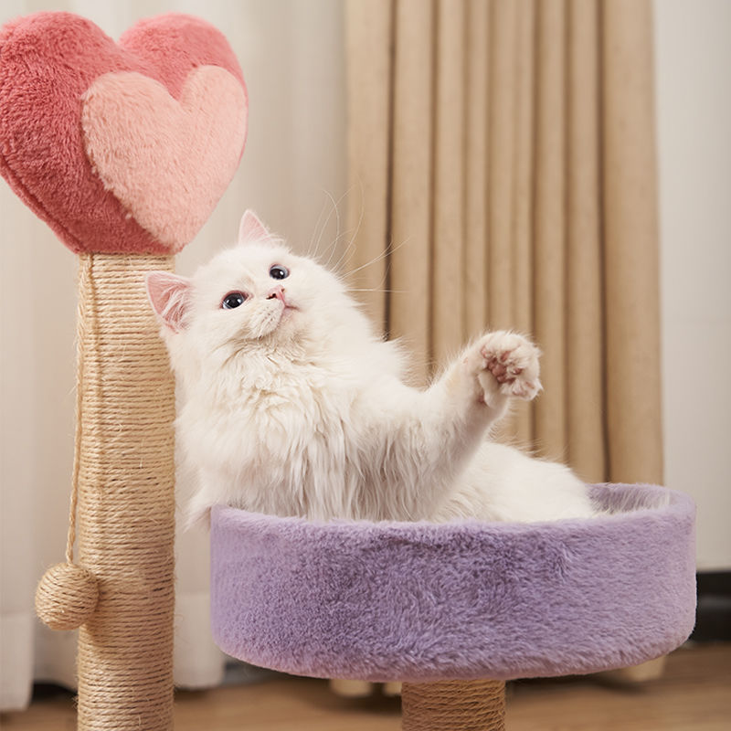 Cat climbing frame cat climber cat nest cat tree integrated cat teaser toy small cat supplies cat tower scratching pole four seasons joint Yan